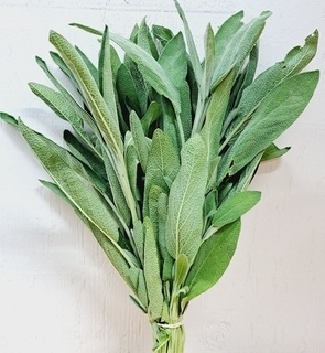 Sage FRESH (LOCAL)